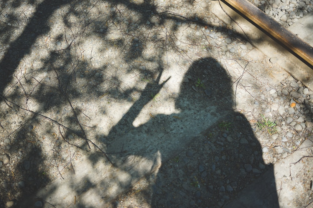 person standing on gray concrete floor