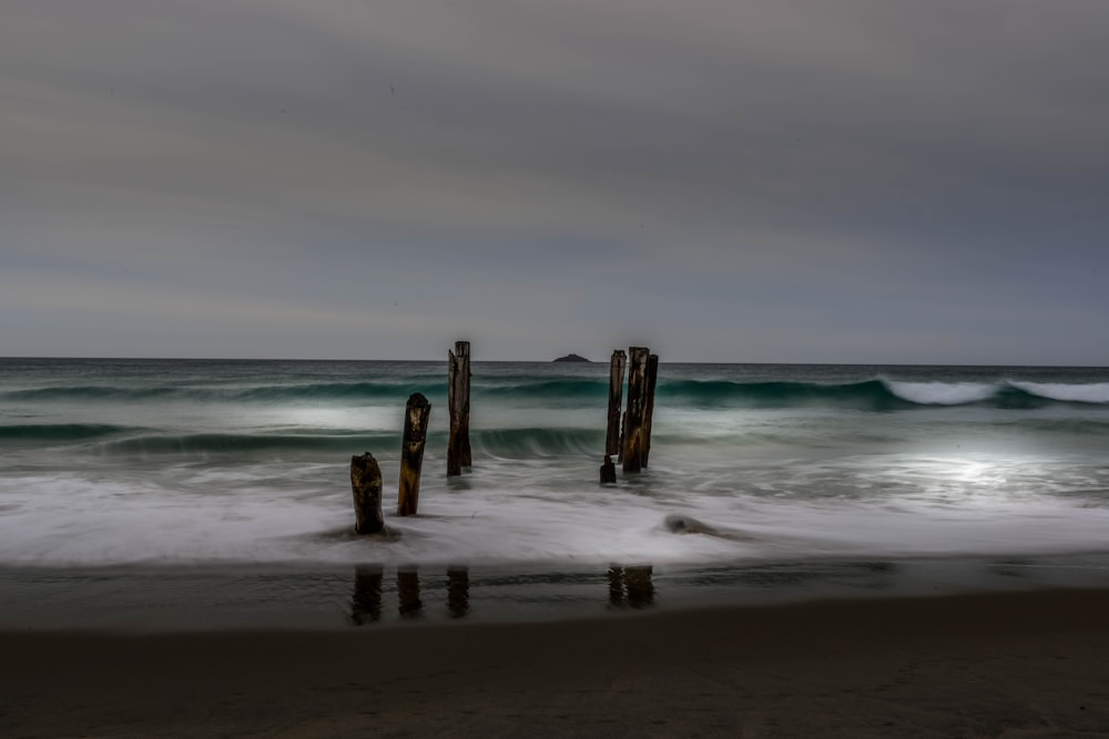 brown wooden posts on beach during daytime