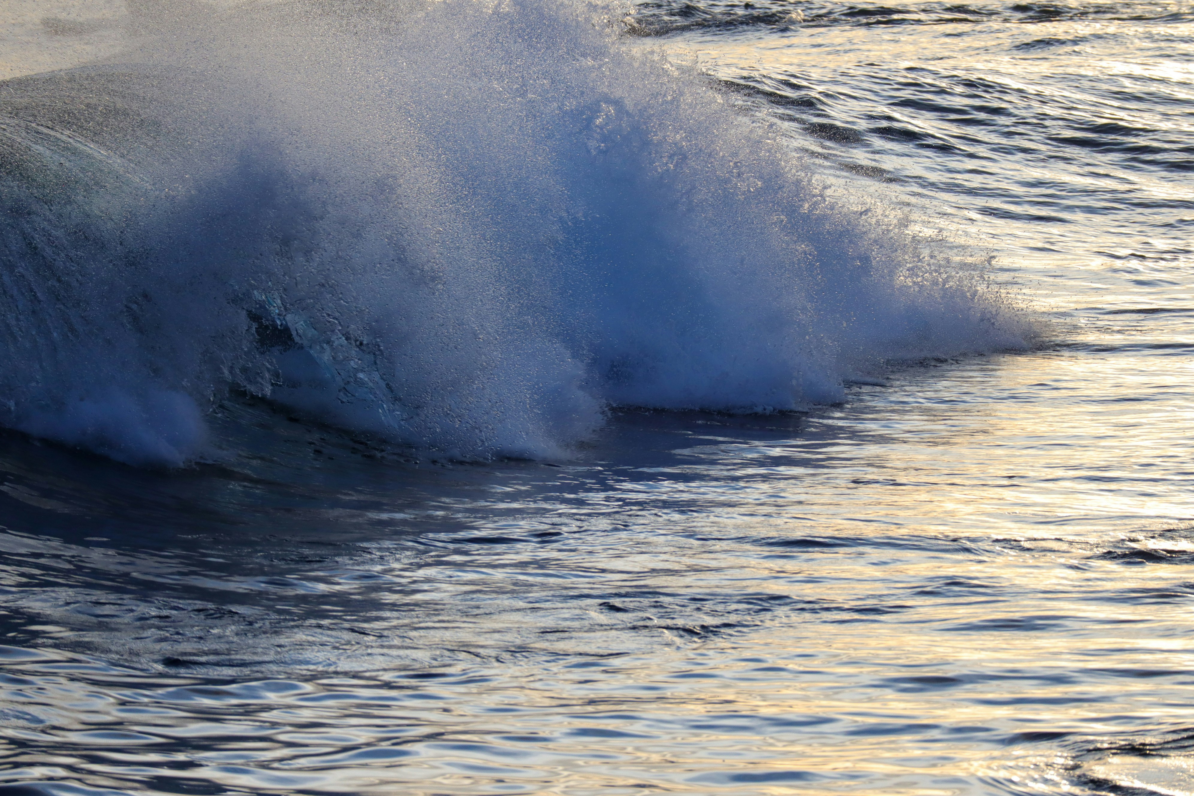 Photo by little_plant