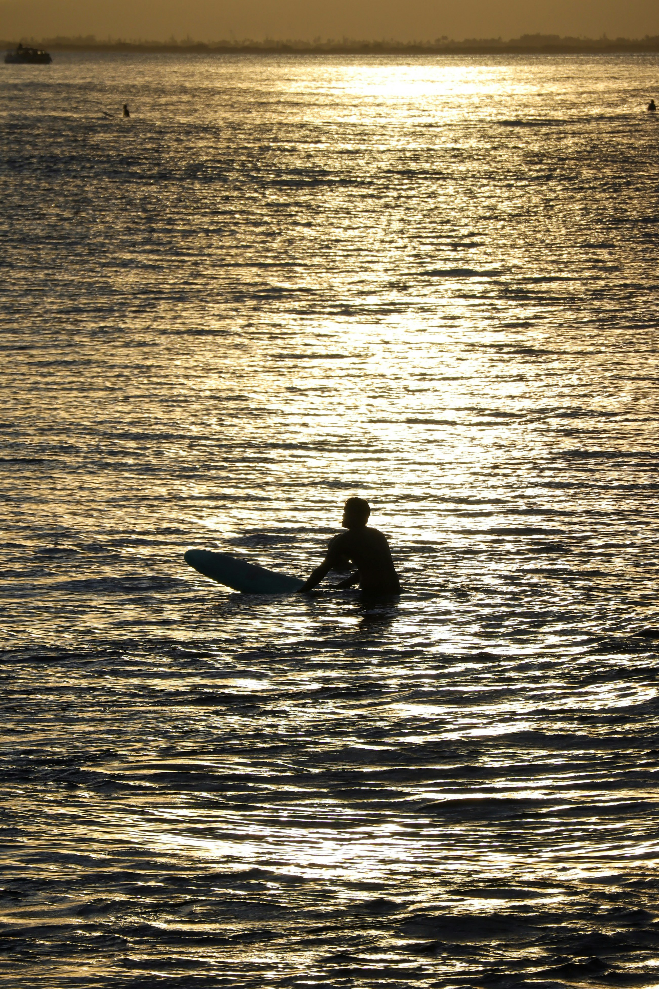 Photo by little_plant