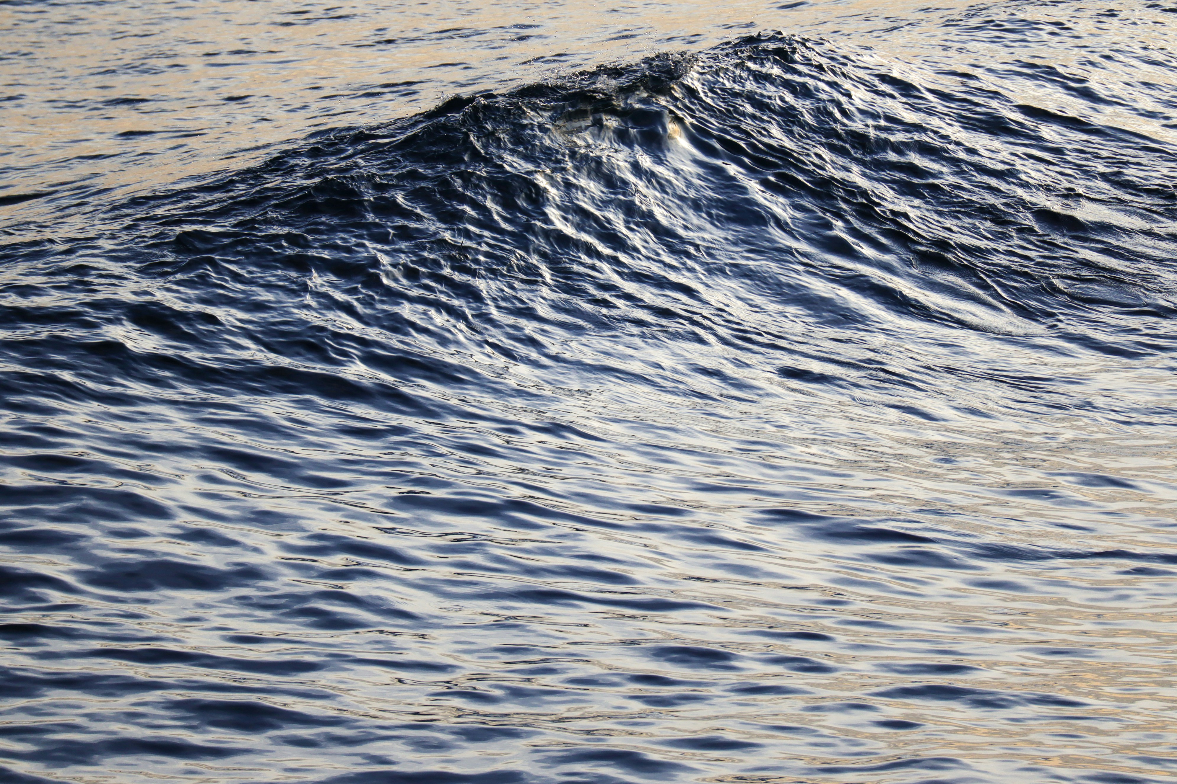 Photo by little_plant