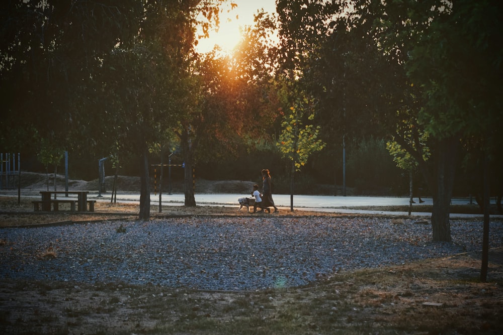 man and woman sitting on bench near trees during daytime