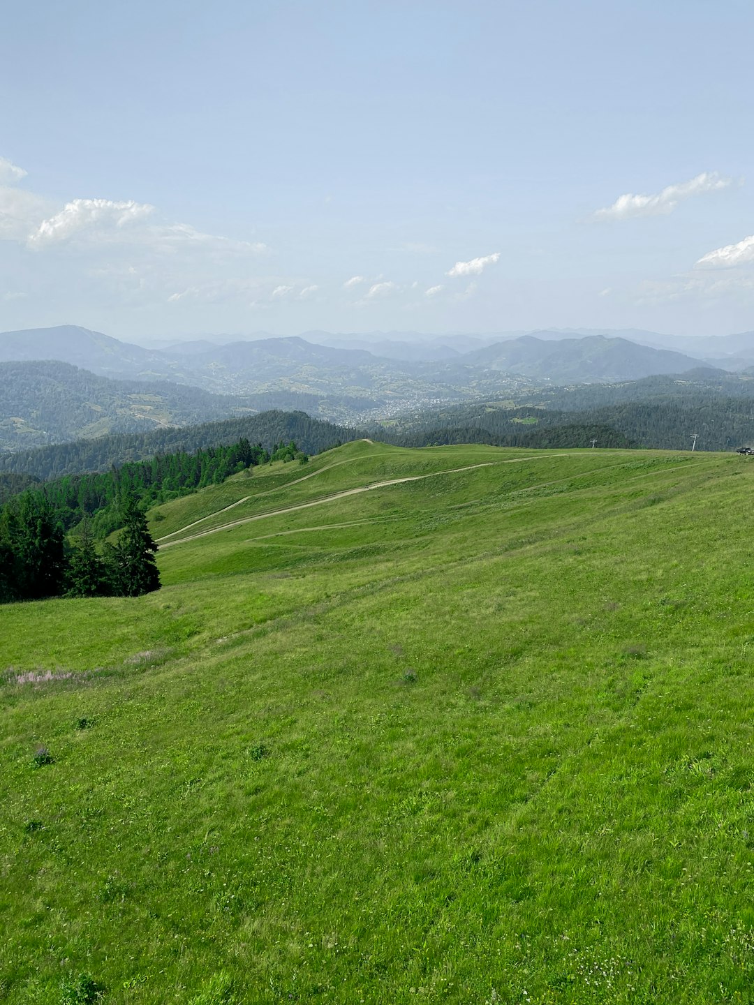 green grass field and green trees under white clouds and blue sky during daytime