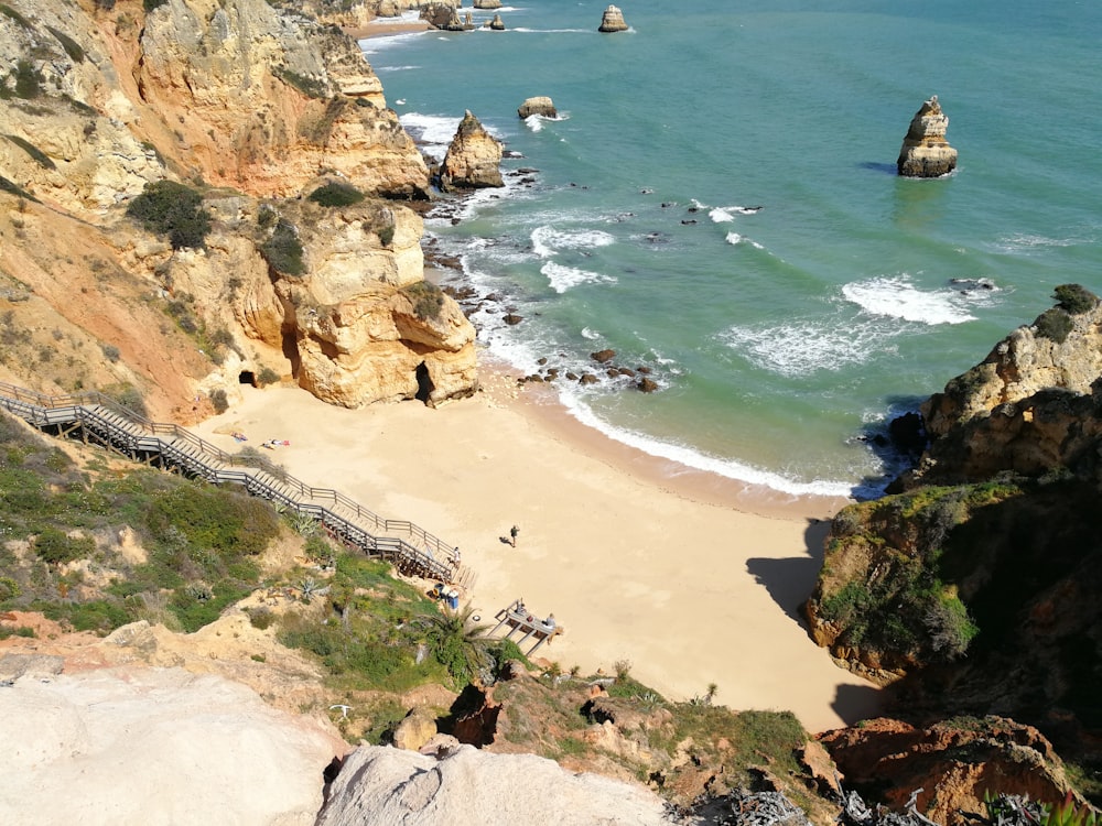 people on beach during daytime