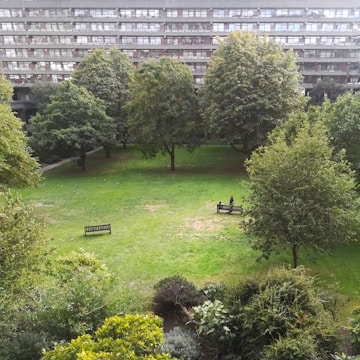 Green common areas with trees and benches for relaxation.