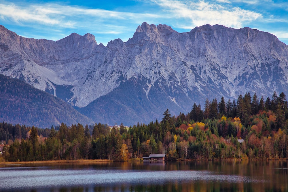 alberi verdi vicino al lago e alla montagna