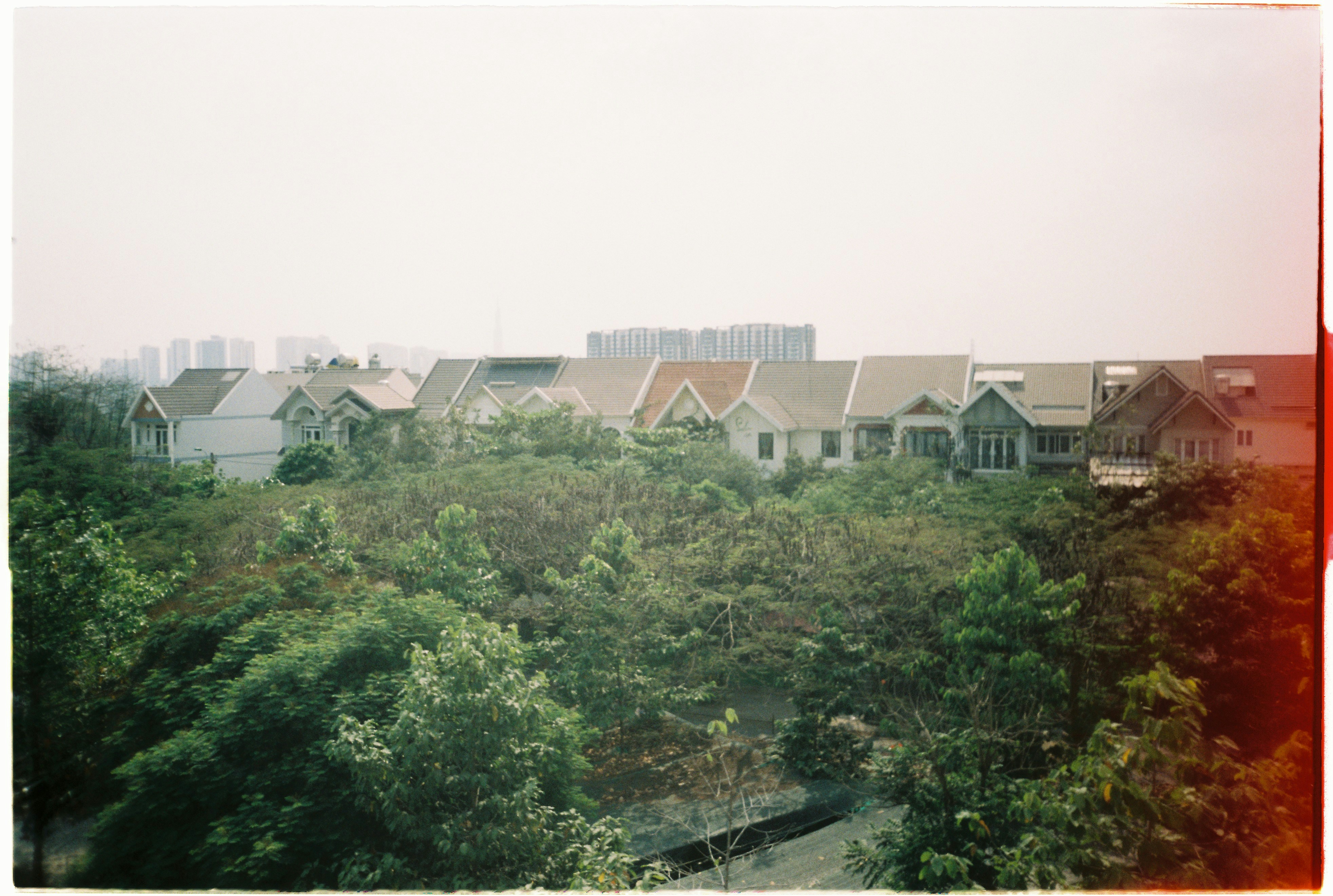 green trees near brown concrete building during daytime