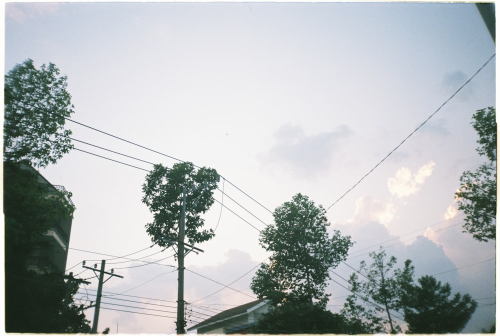 green tree under white clouds