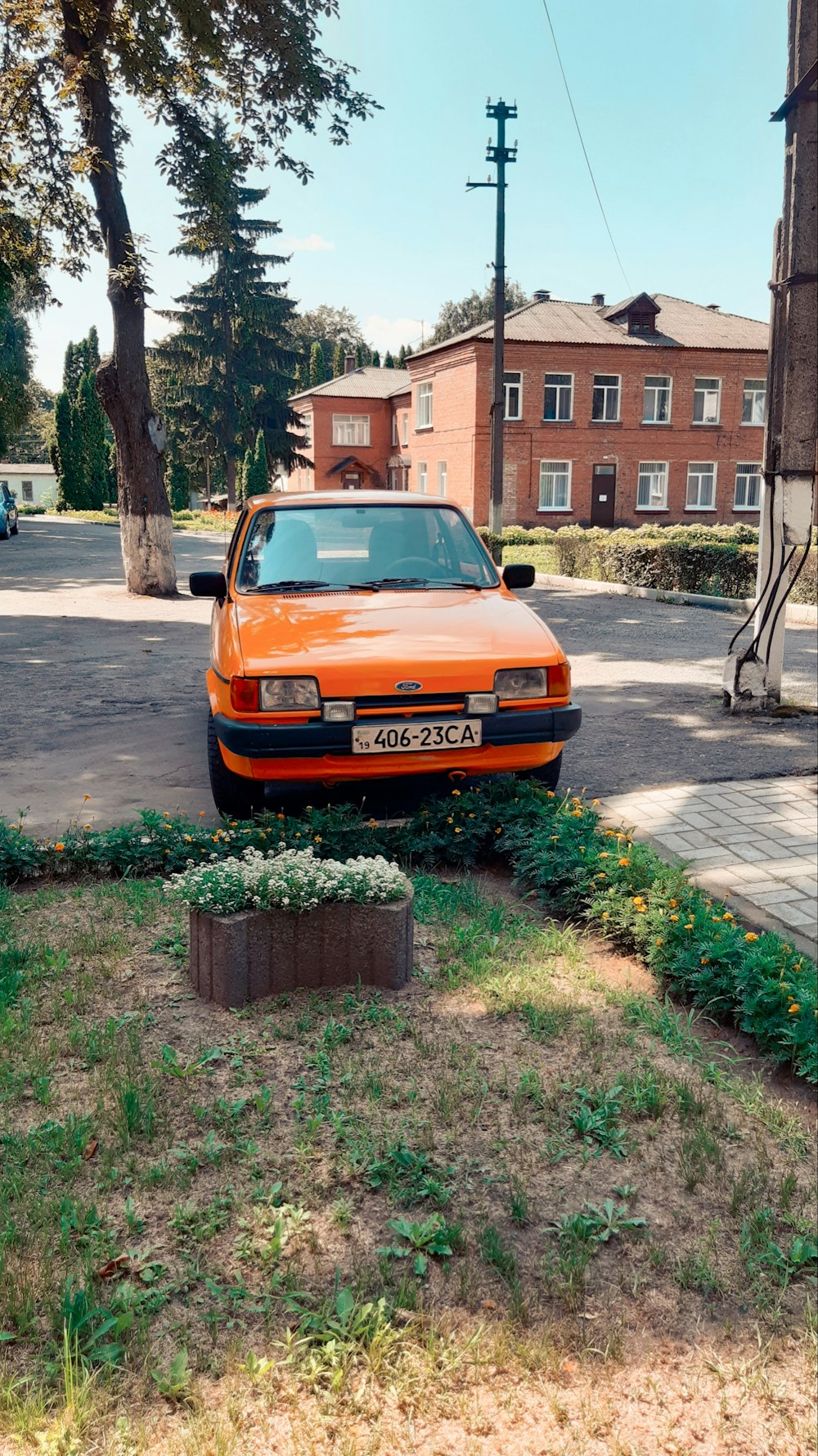 orange chevrolet car parked near tree