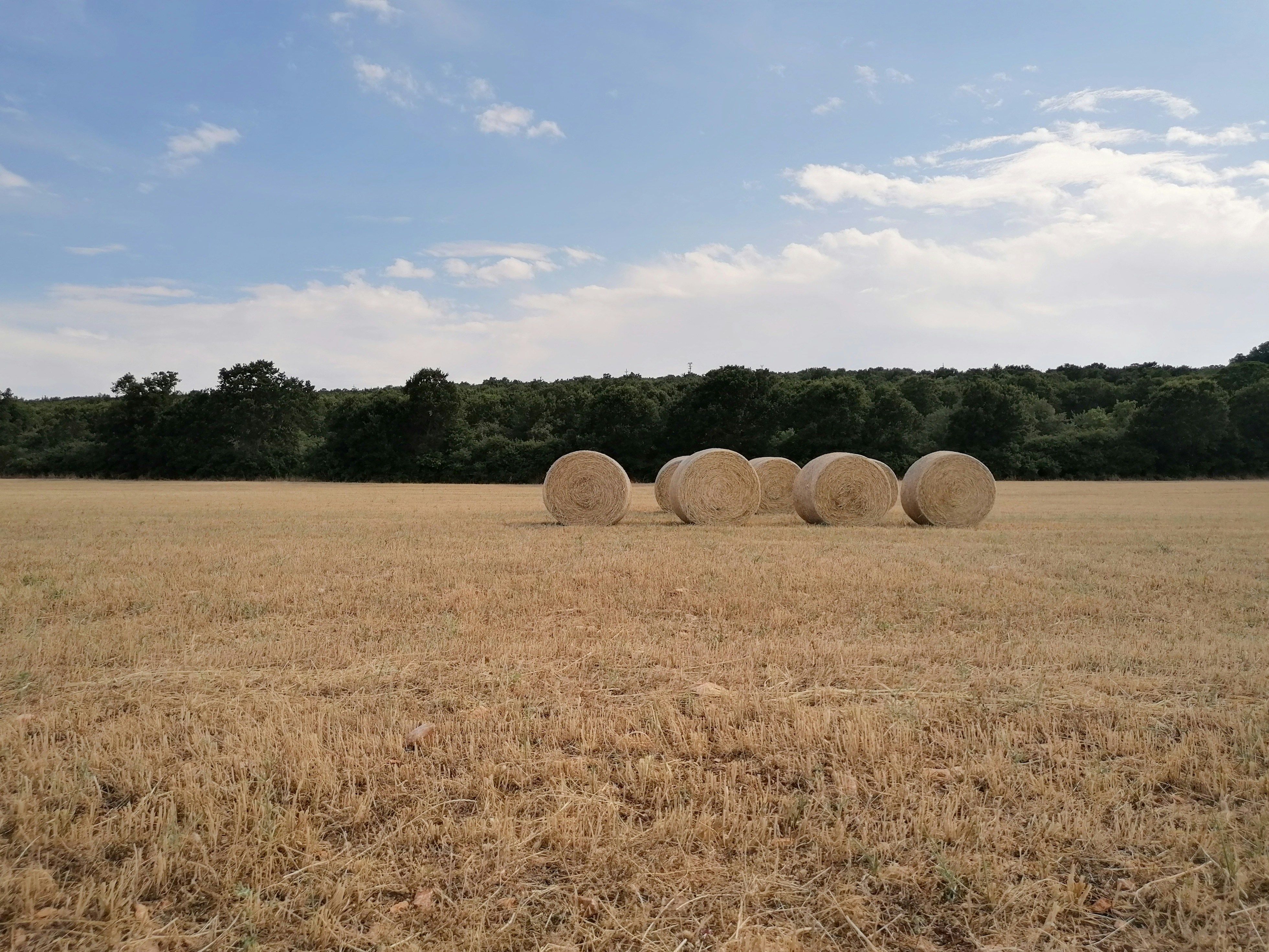 brown grass field under blue sky during daytime, Summertime Apulian field