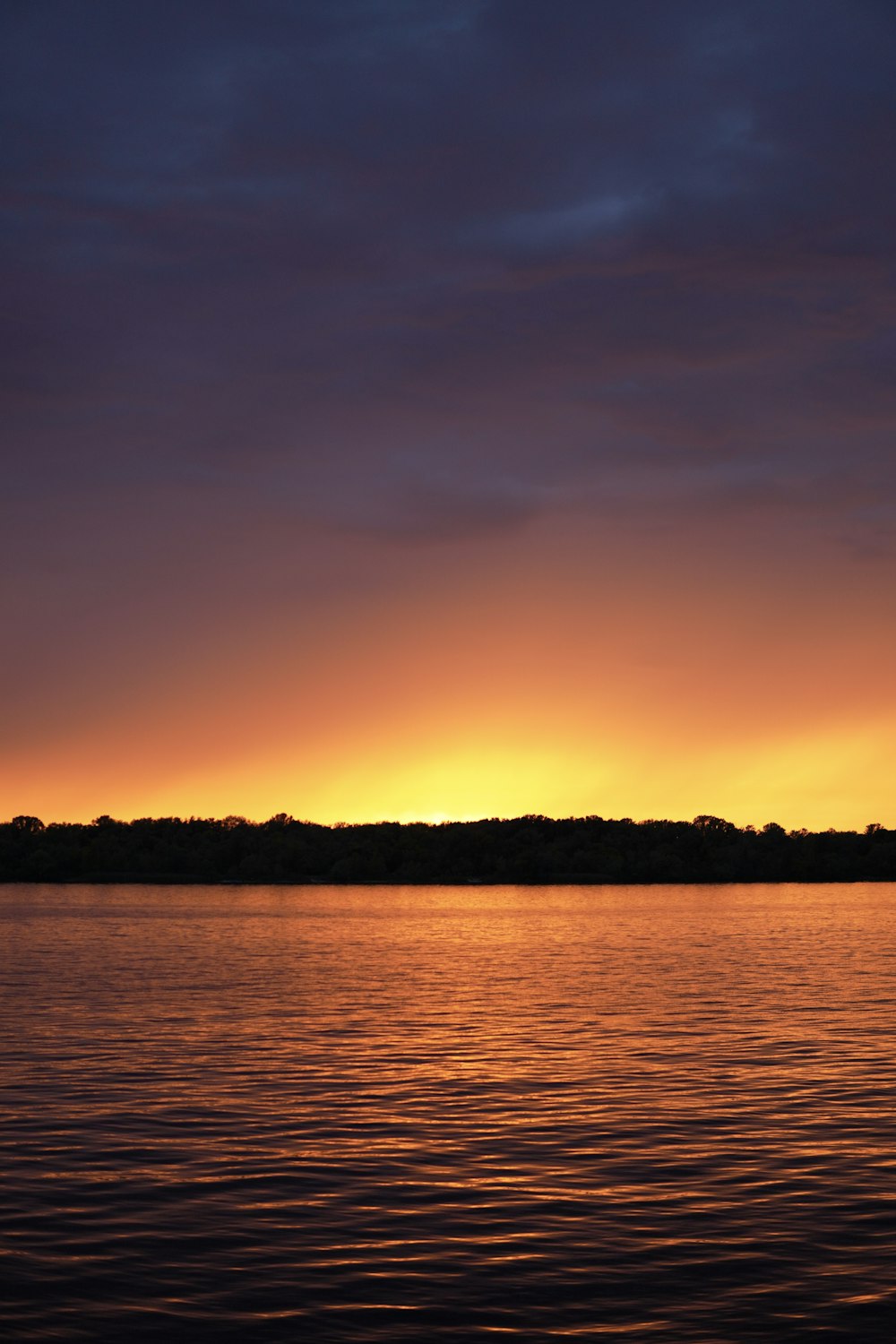 silhouette of trees near body of water during sunset