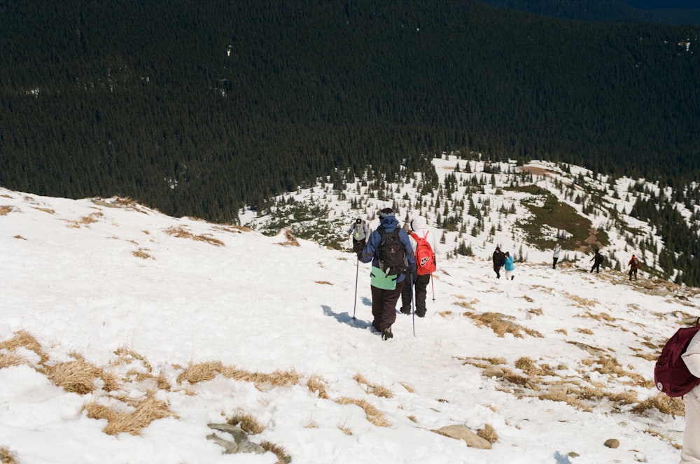 昼間、雪山をハイキングする人々