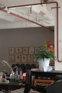 Portrait of Dr. Marina in her clinic surrounded by plants and medical books.