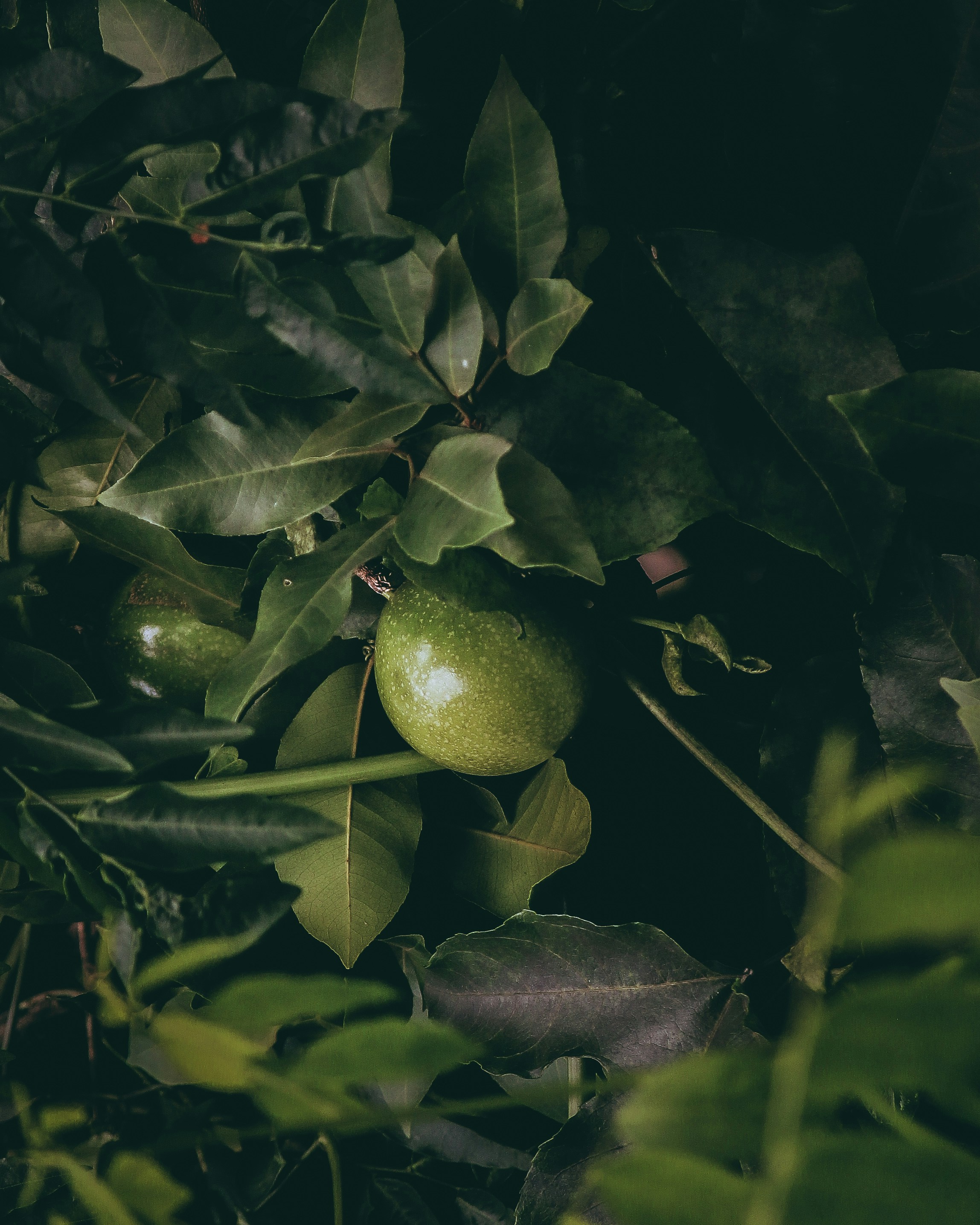 Photo by alensunny95_15