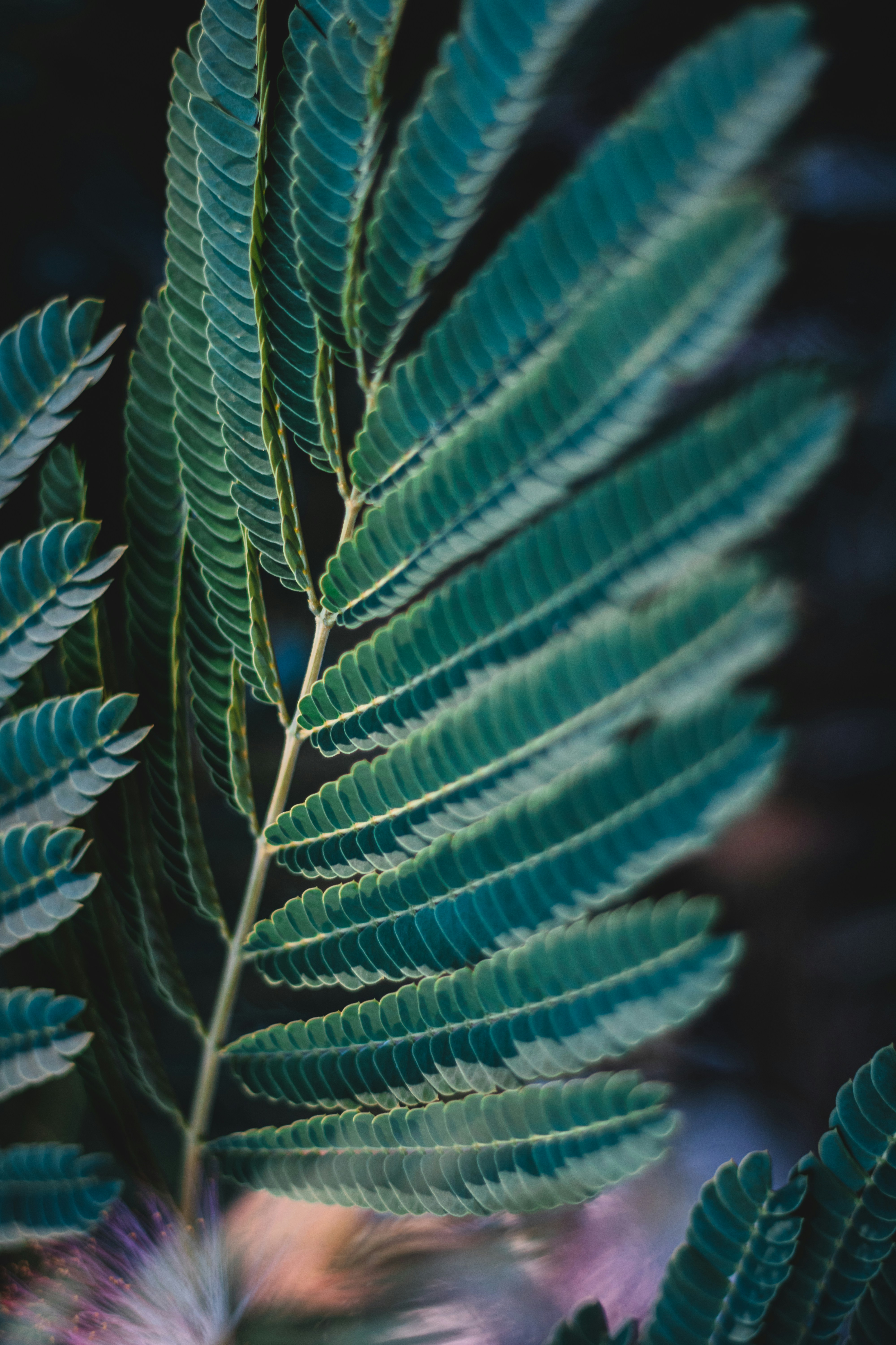 Photo by thewanderinggenk