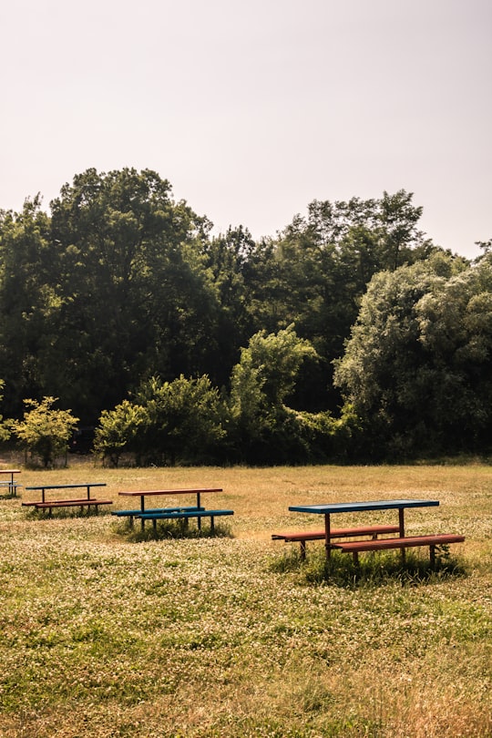 brown wooden bench near green trees during daytime in Pancharevo Bulgaria