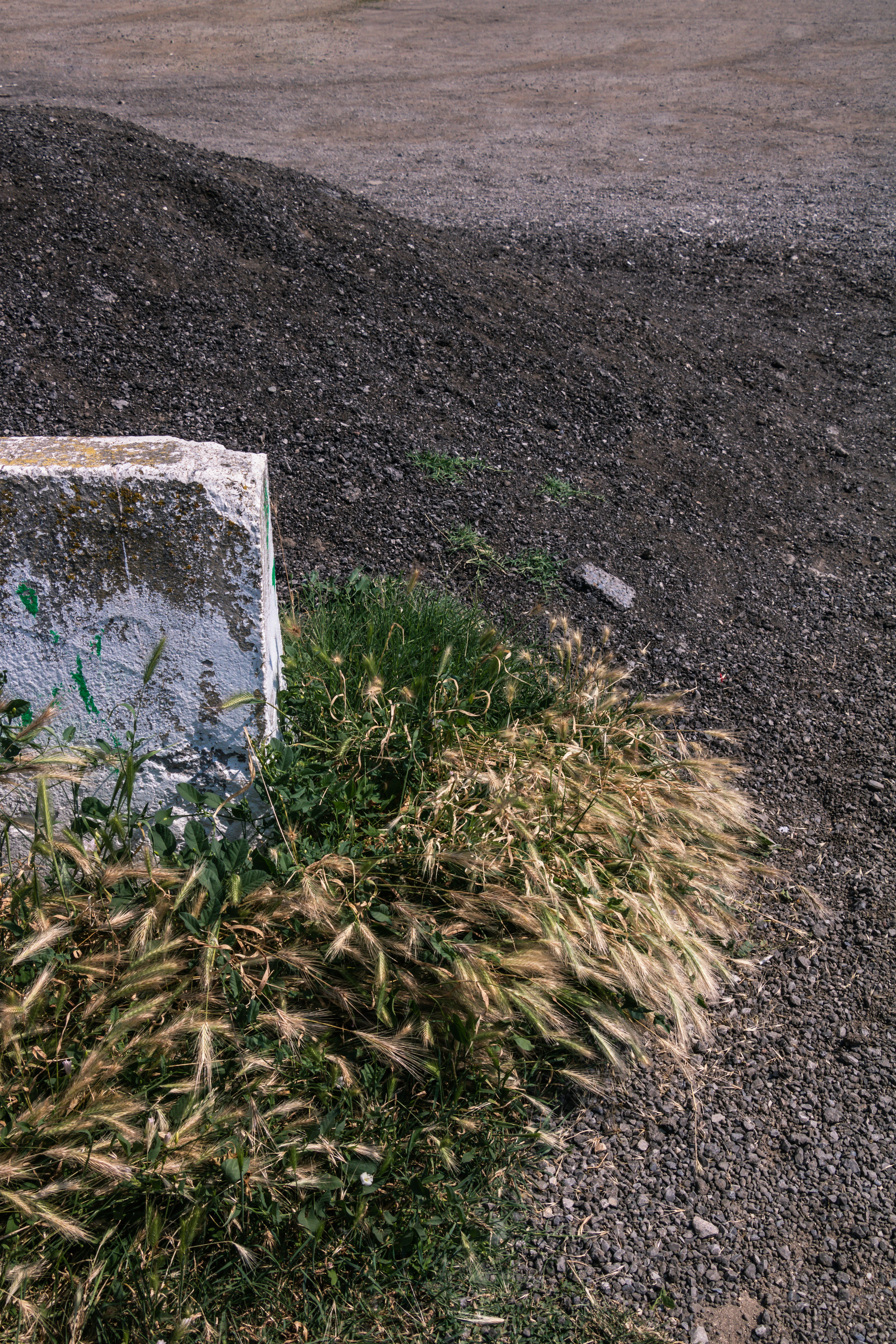 Photo by thewanderinggenk