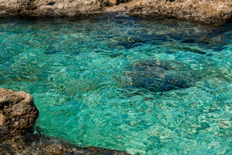 brown rock formation beside body of water during daytime