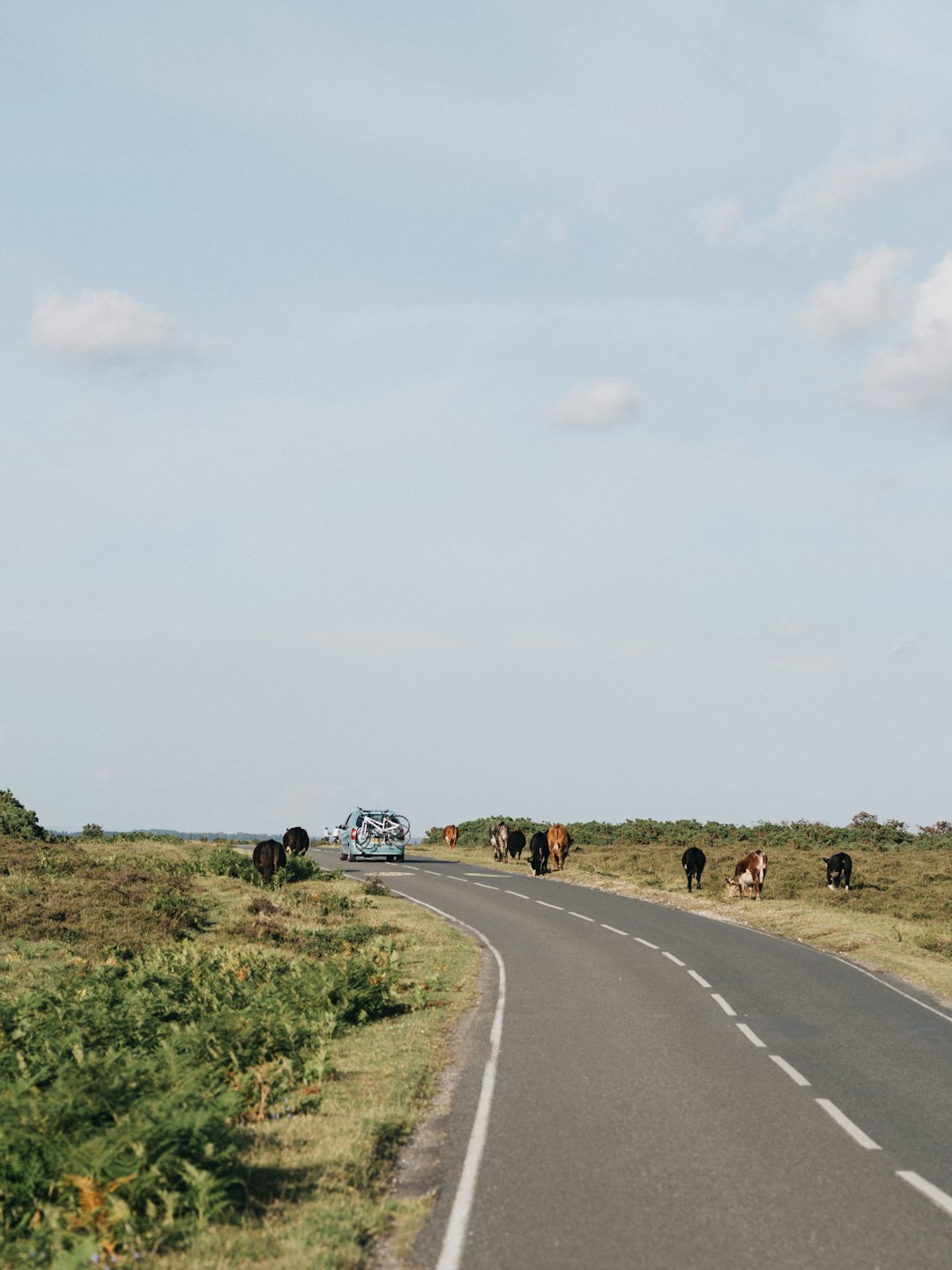 cars on road during daytime