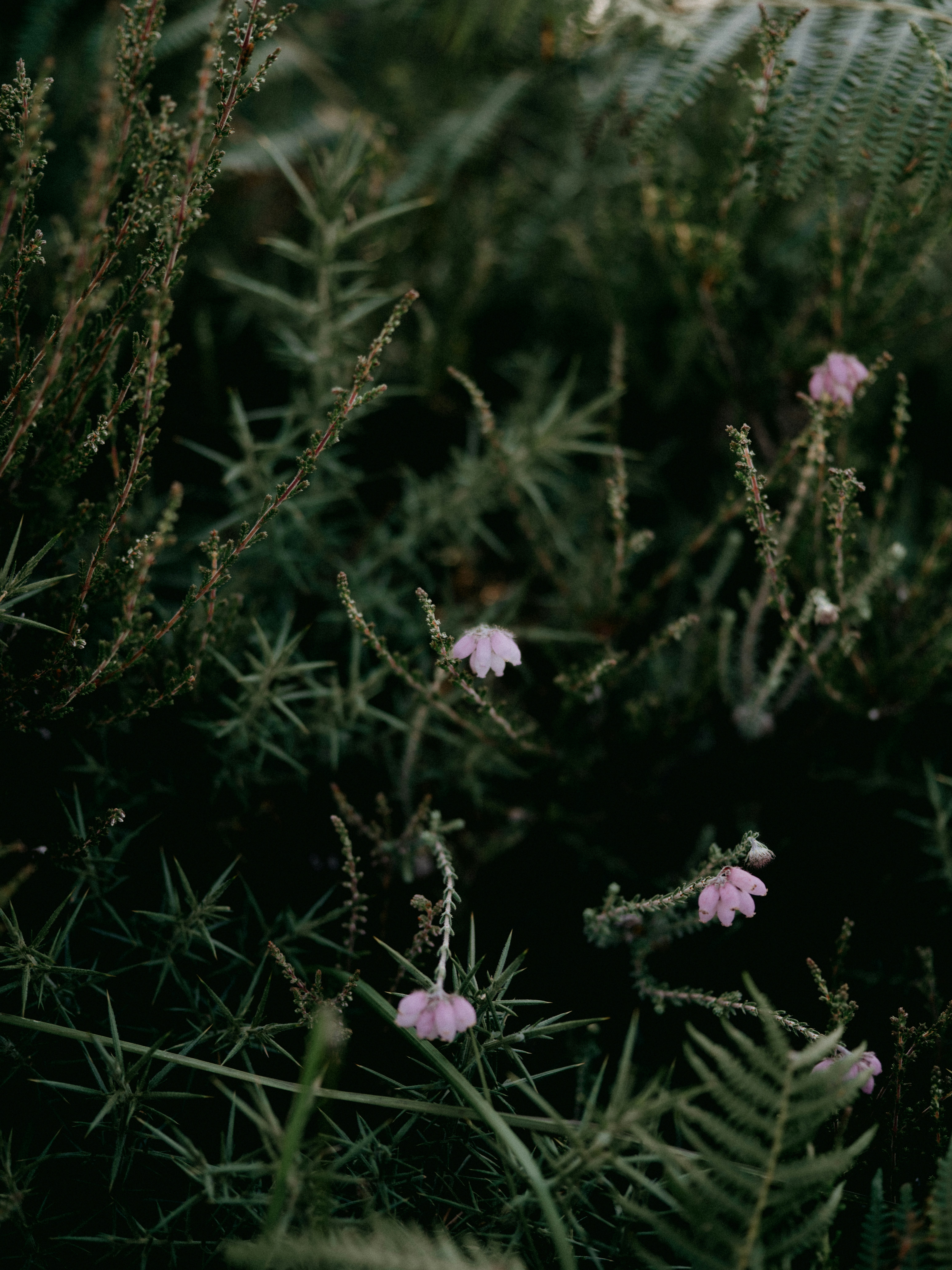 Photo by anniespratt