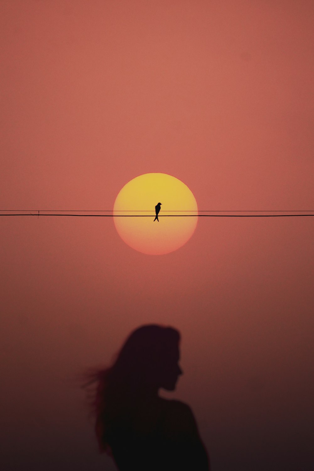 silhouette of woman under orange sky