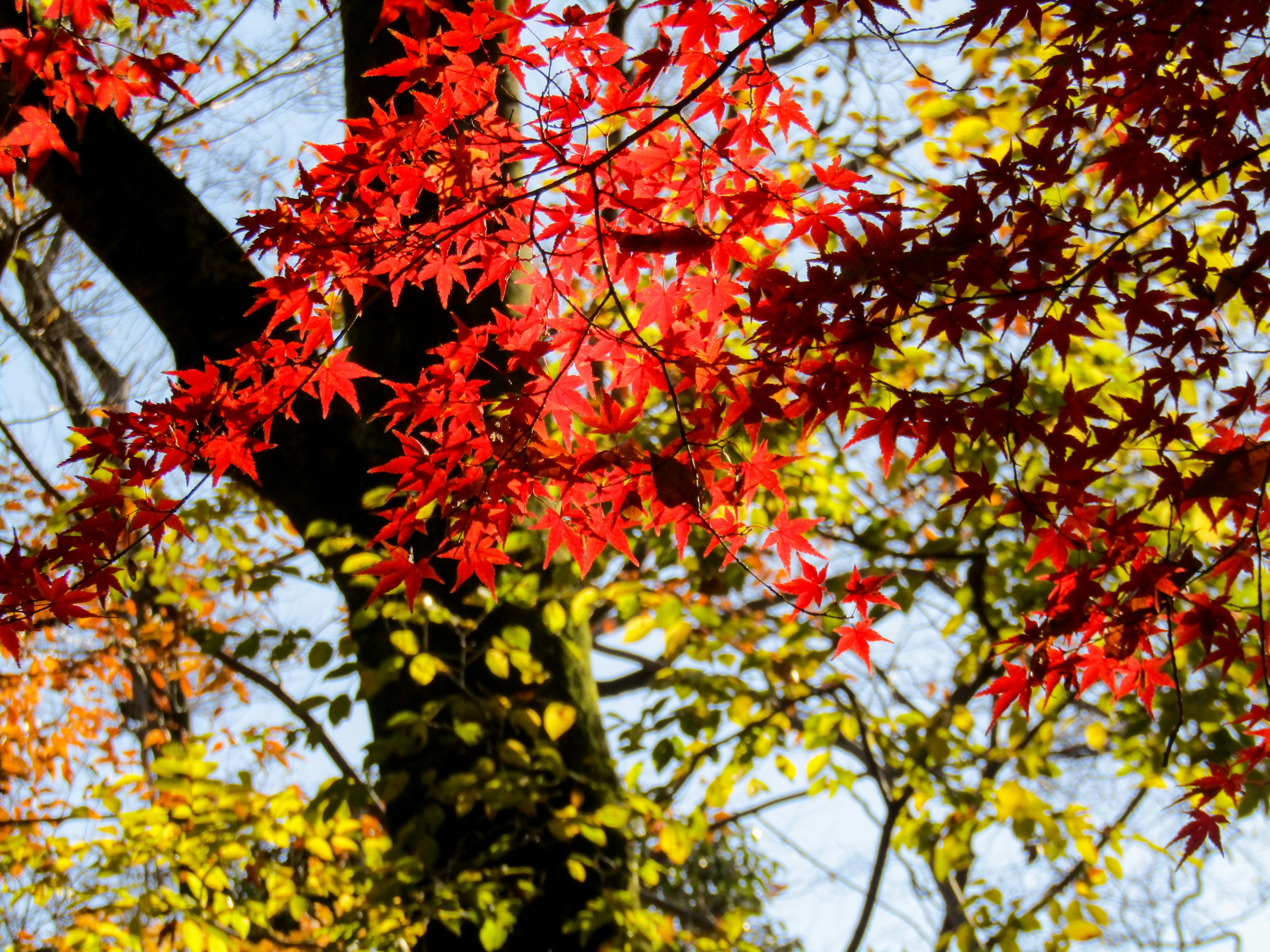 Photo by heppoko_yama