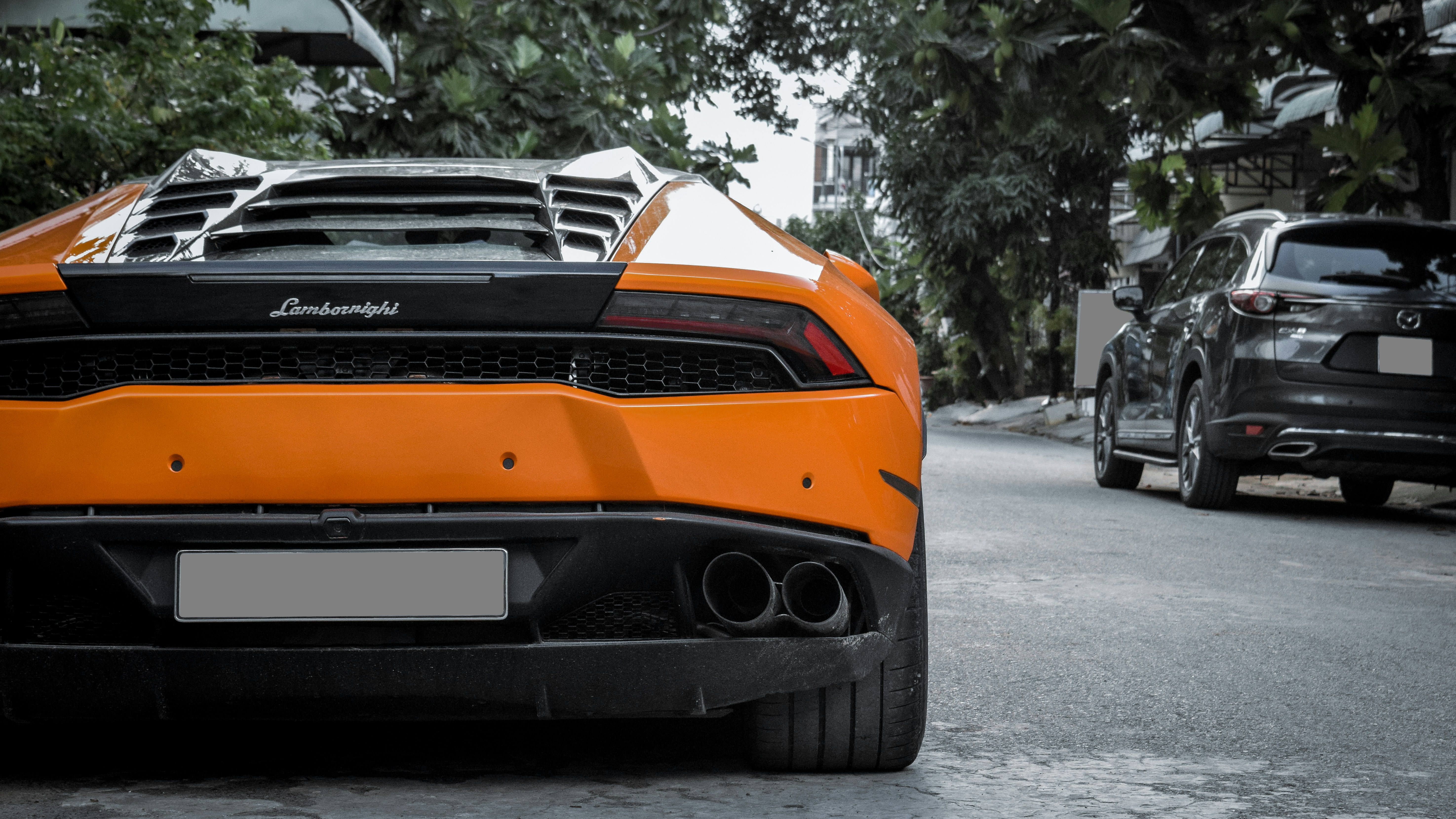 Photo by quoctuan2303