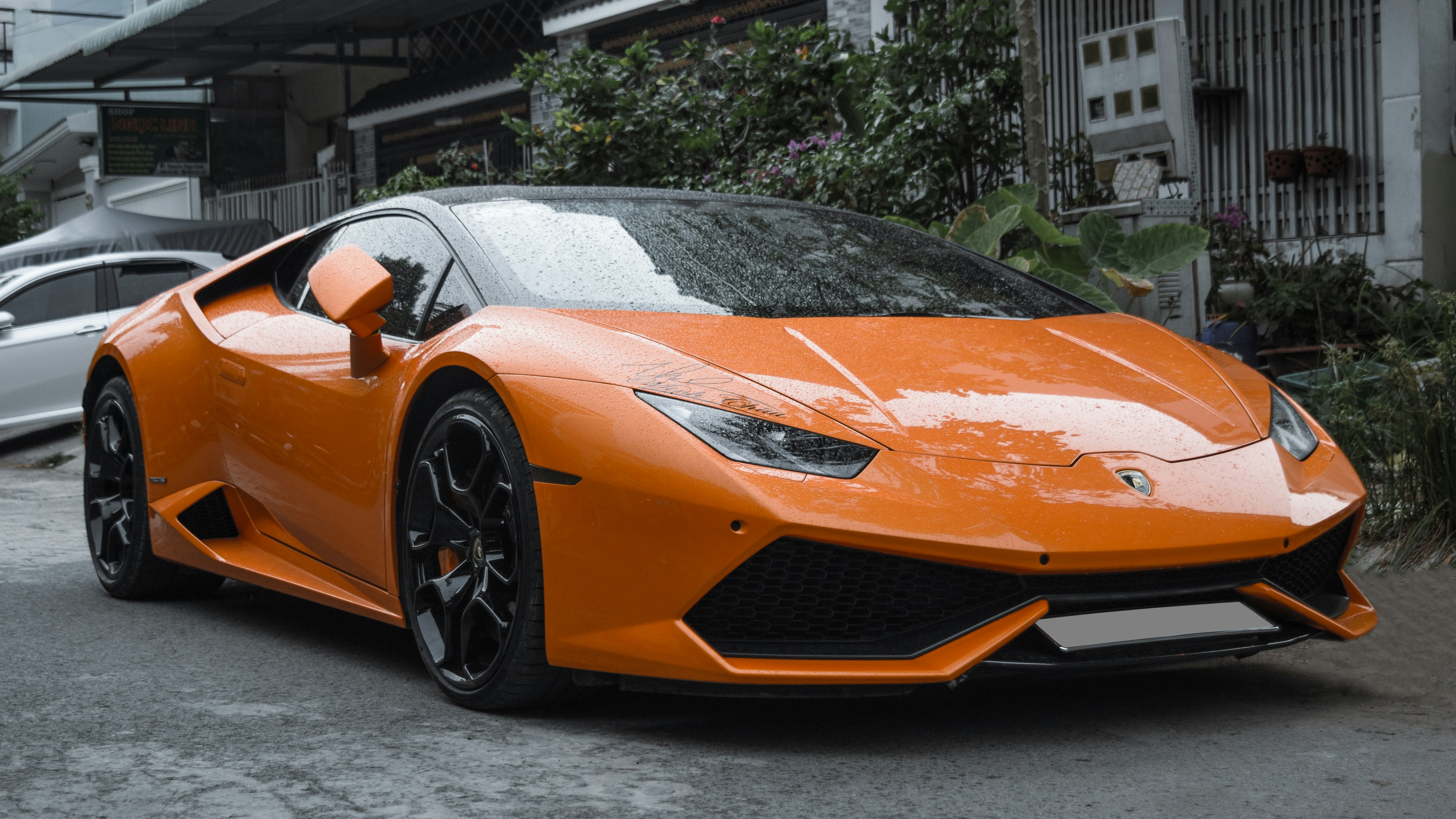 Photo by quoctuan2303