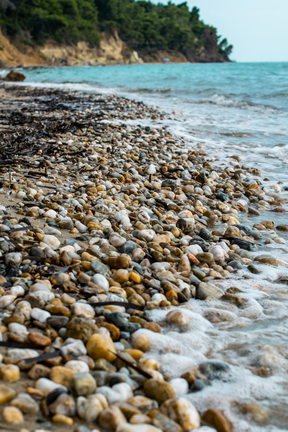 brown and white stones on seashore during daytime