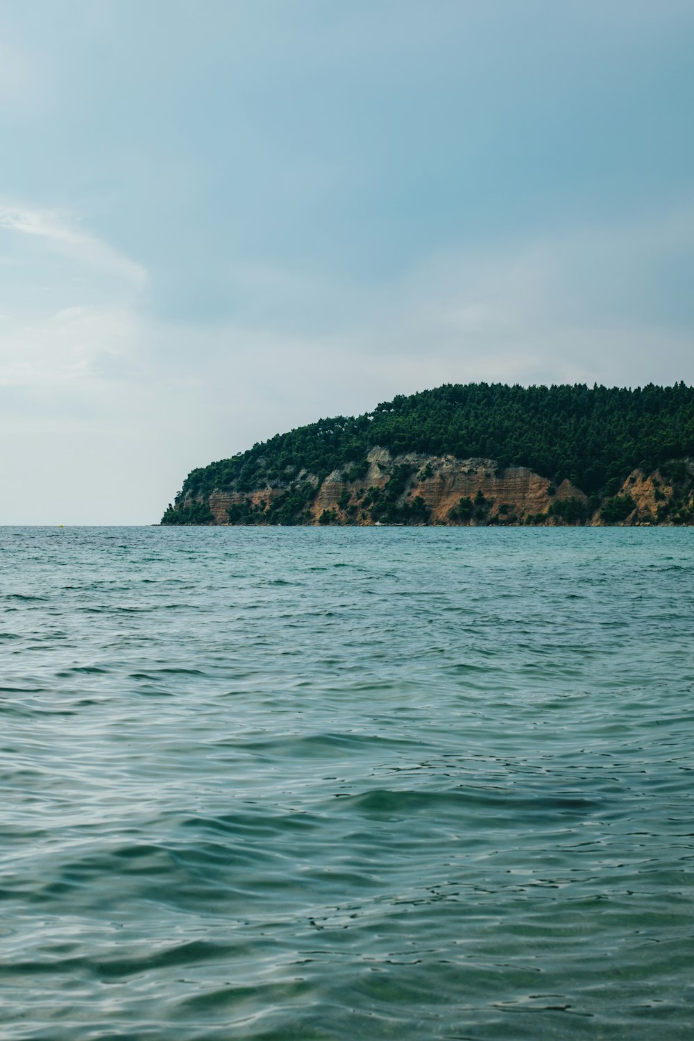 green trees on island during daytime