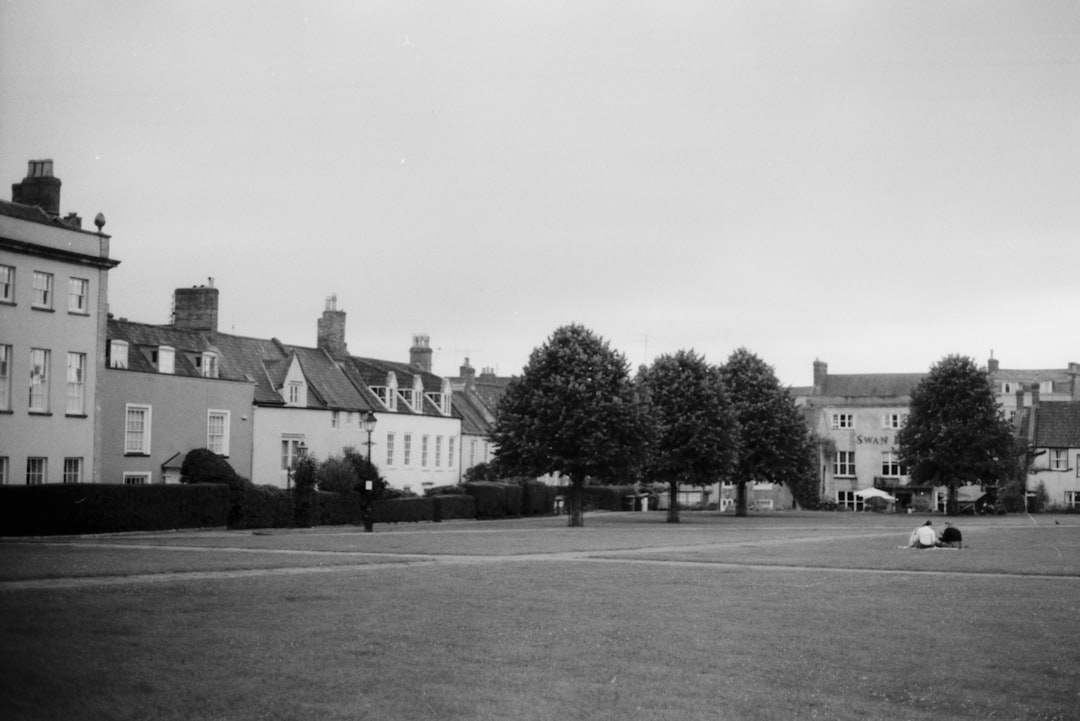 grayscale photo of trees and building