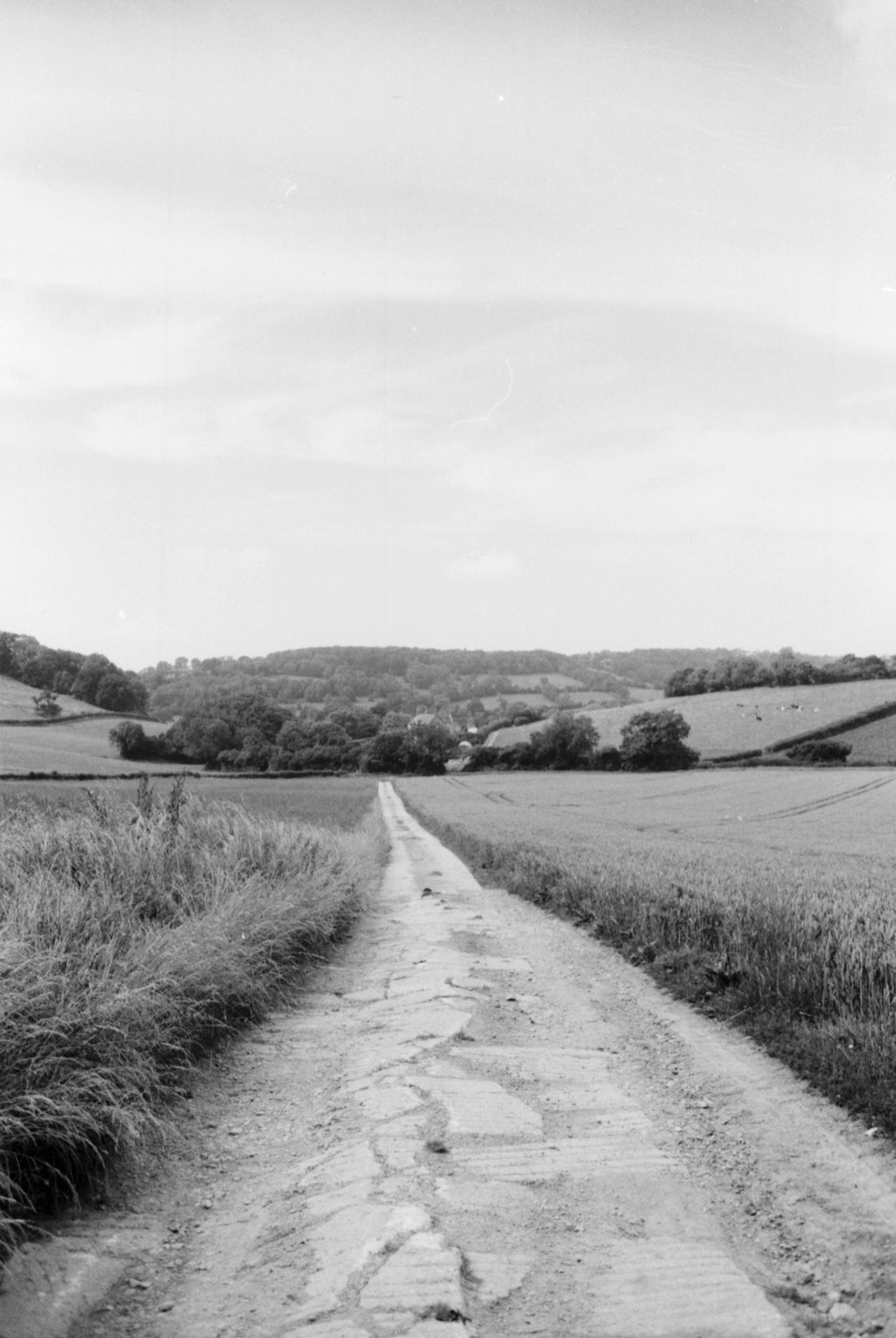grayscale photo of dirt road between grass field