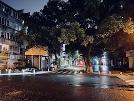 A quiet, dimly lit street scene at night featuring a large tree overhanging the road. The street appears wet, possibly from recent rain, reflecting the ambient streetlights. The surrounding buildings are multi-story, residential structures with balconies. The street is empty, suggesting a peaceful or deserted atmosphere.