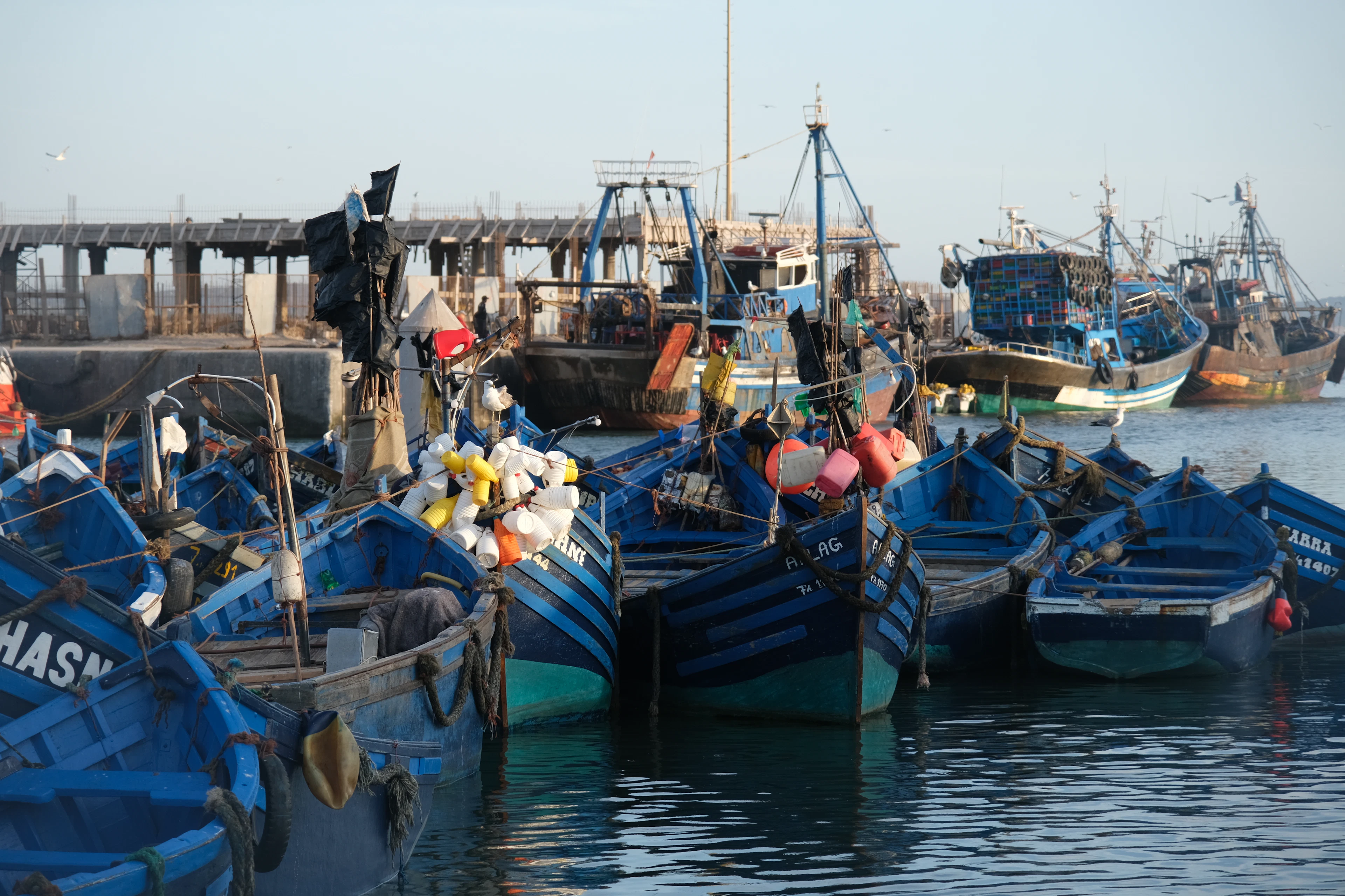 Traditional blue wooden fishing boats crowd Essaouira's harbor.