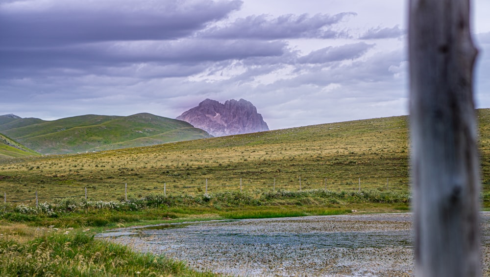 green grass field near body of water under white cloudy sky during daytime