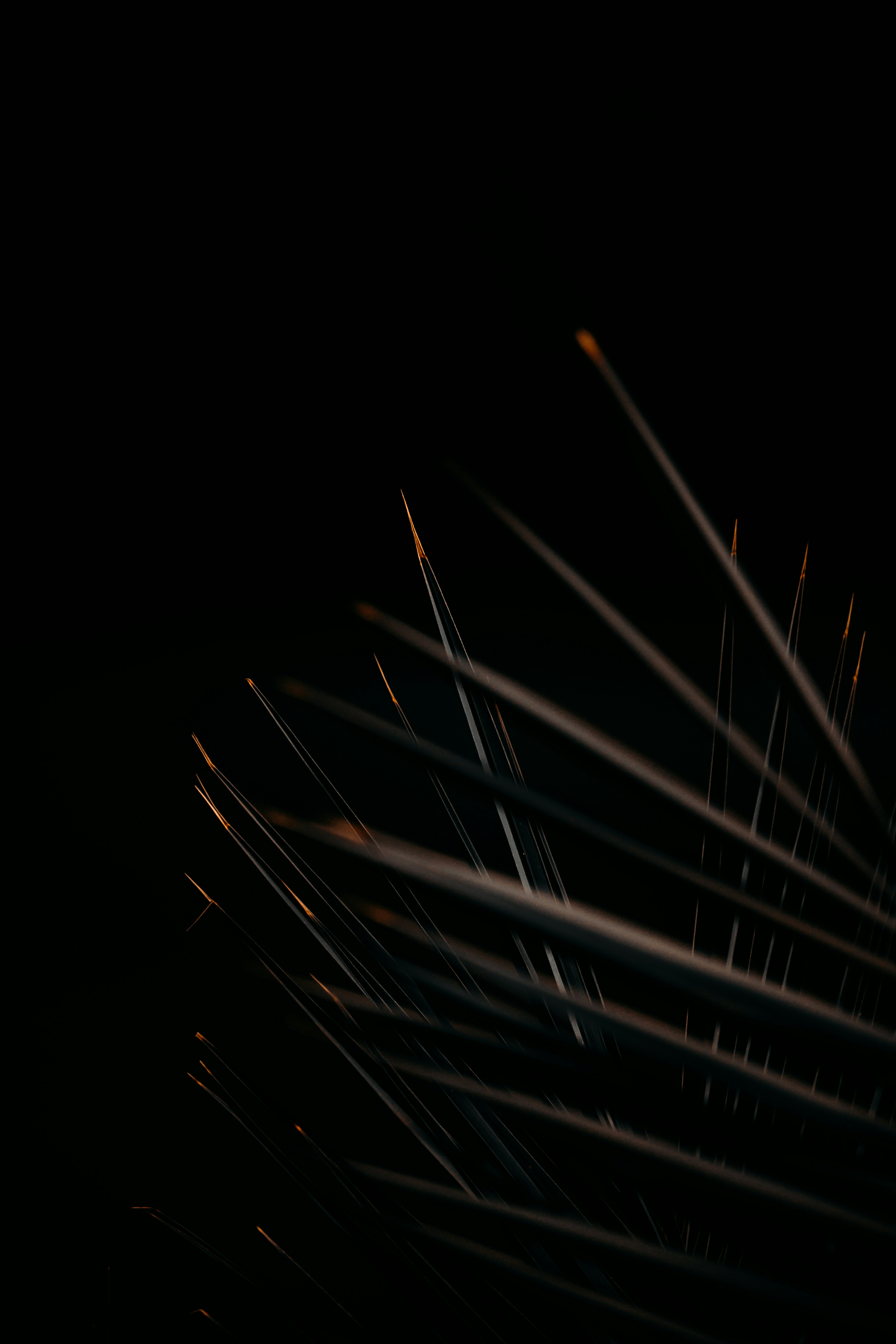 photo-1627655168229-dc67401fd12b?ixid=M3wxMjA3fDB8MXxzZWFyY2h8Mnx8aGlnaCUyMHN0YWtlcyUyMGRvd25sb2FkJTIwbGluayUyMGh0dHAlMjBkbCUyMGhpZ2hzdGFrZXN3ZWVwcyUyMGNvbXxlbnwwfHx8fDE3NTQxMzEzNDd8MA\u0026ixlib=rb-4.1.0
