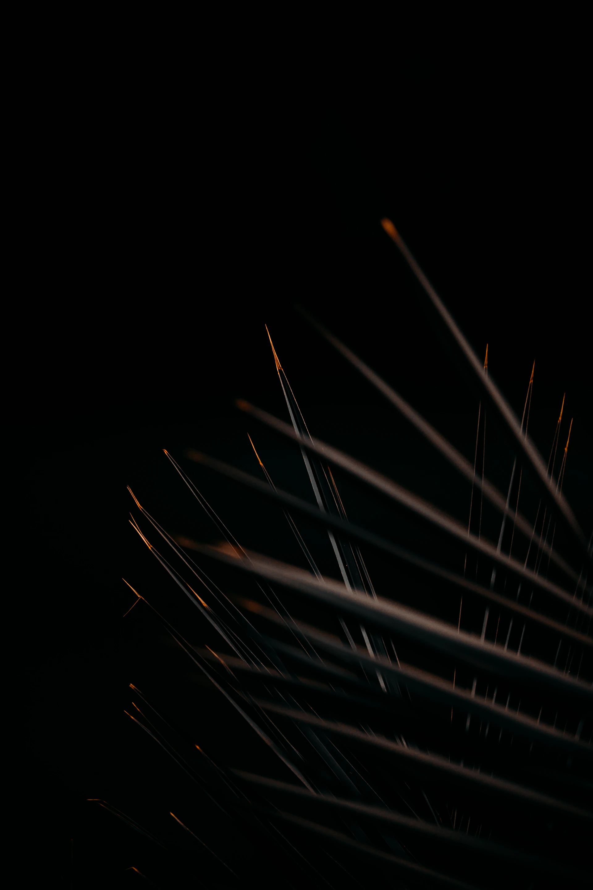 white light on dark room