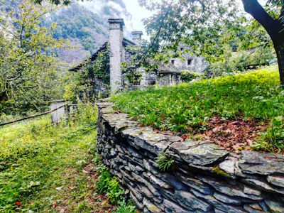 Volunteers restoring an old stone building surrounded by lush greenery