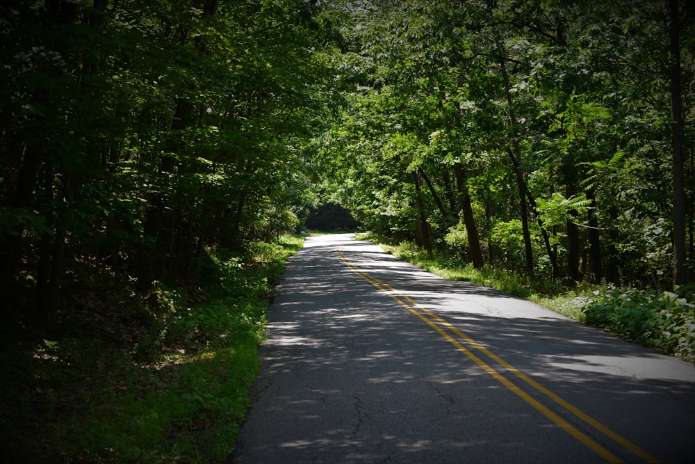 gray concrete road between green trees during daytime