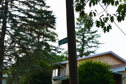 A residential street sign surrounded by trimmed vegetation for clear sightlines.