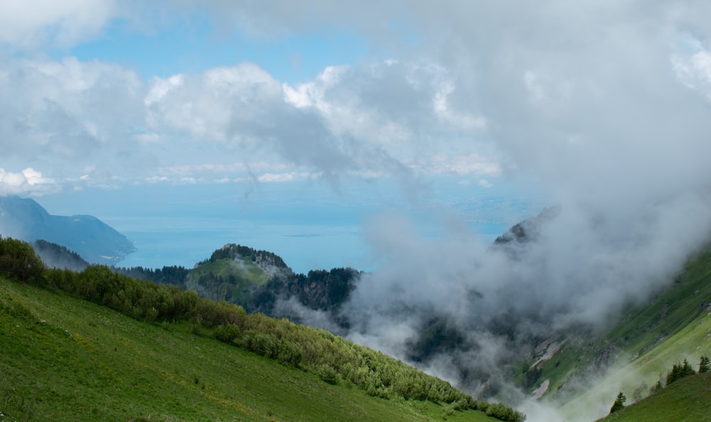 green grass field under white clouds during daytime