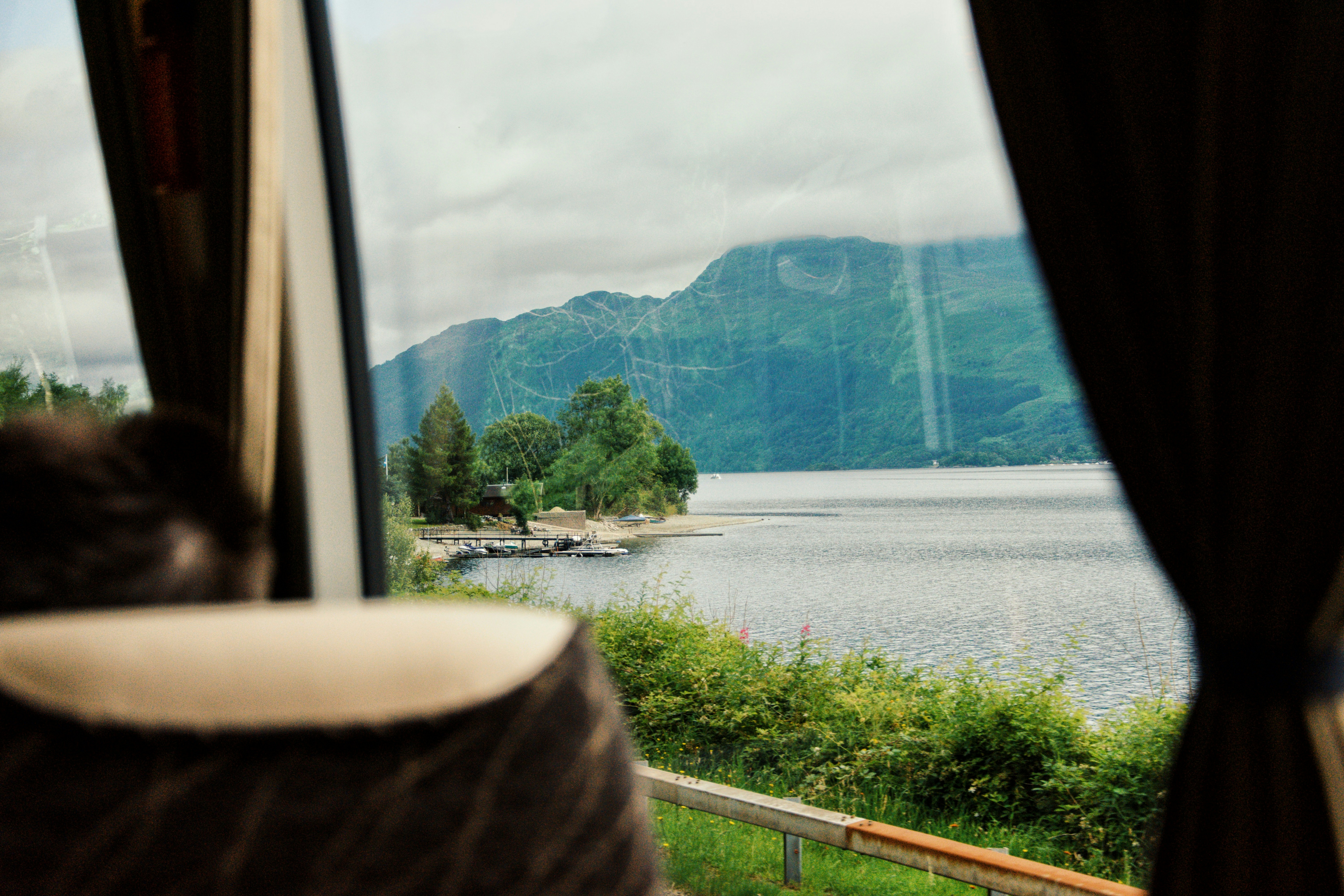 green trees near body of water during daytime