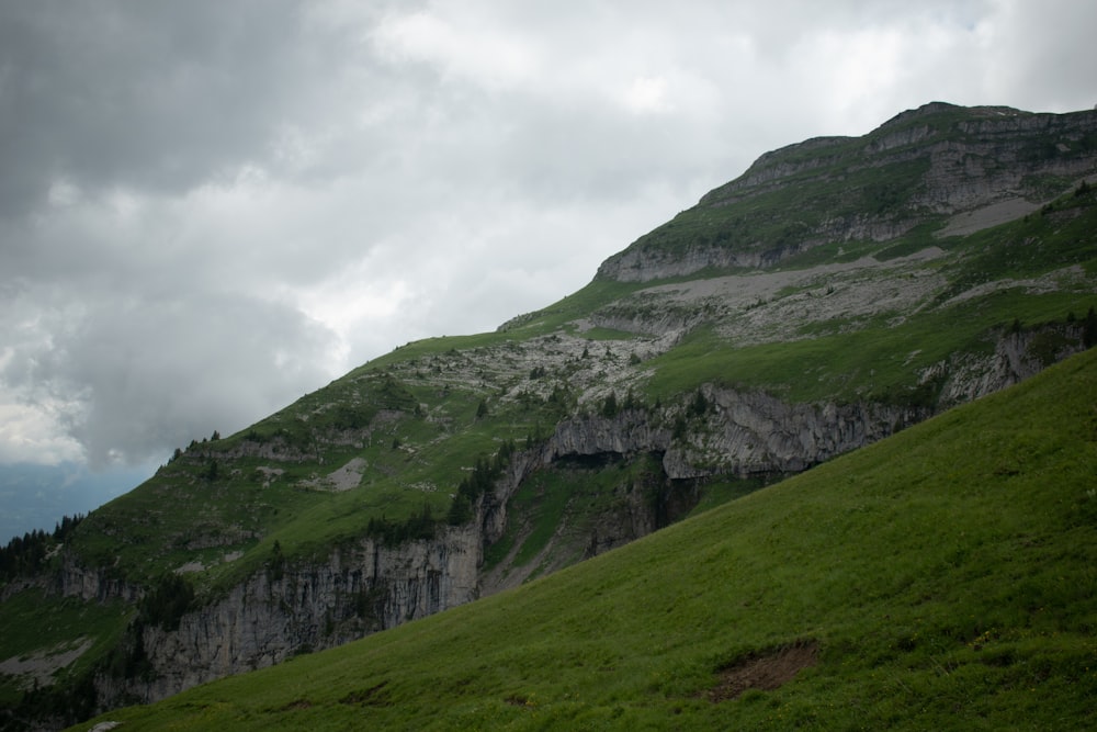 a grassy hill with a mountain in the background