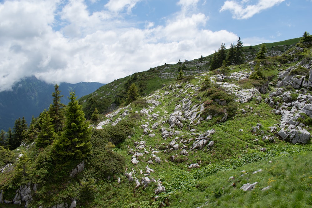 green trees on mountain under white clouds and blue sky during daytime