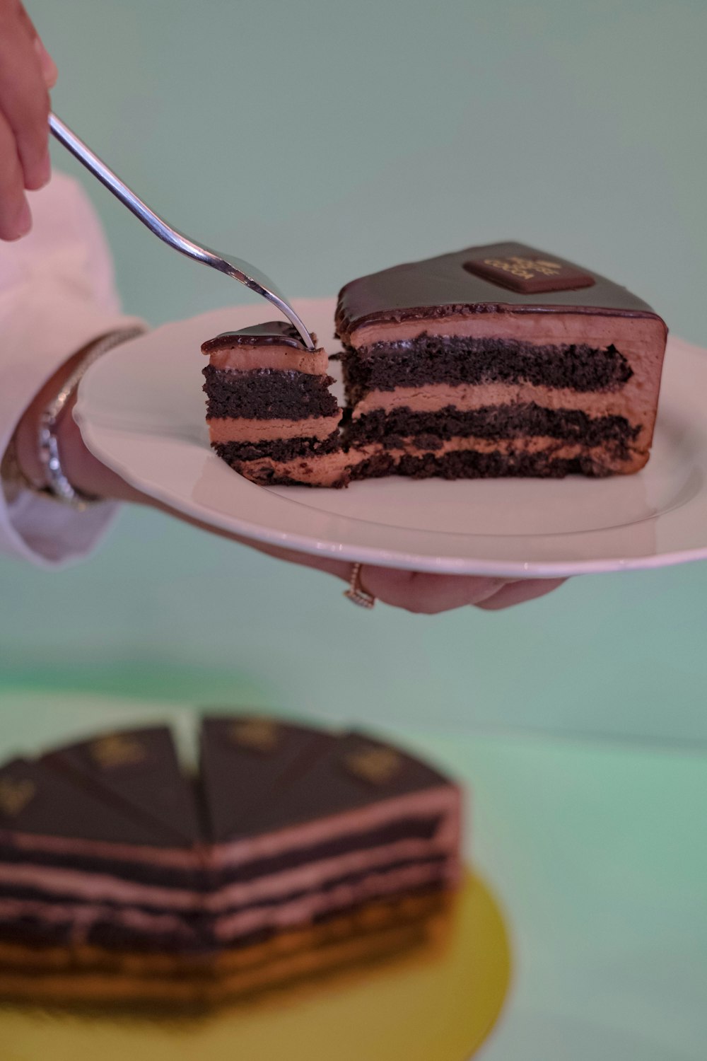 chocolate cake on white ceramic plate