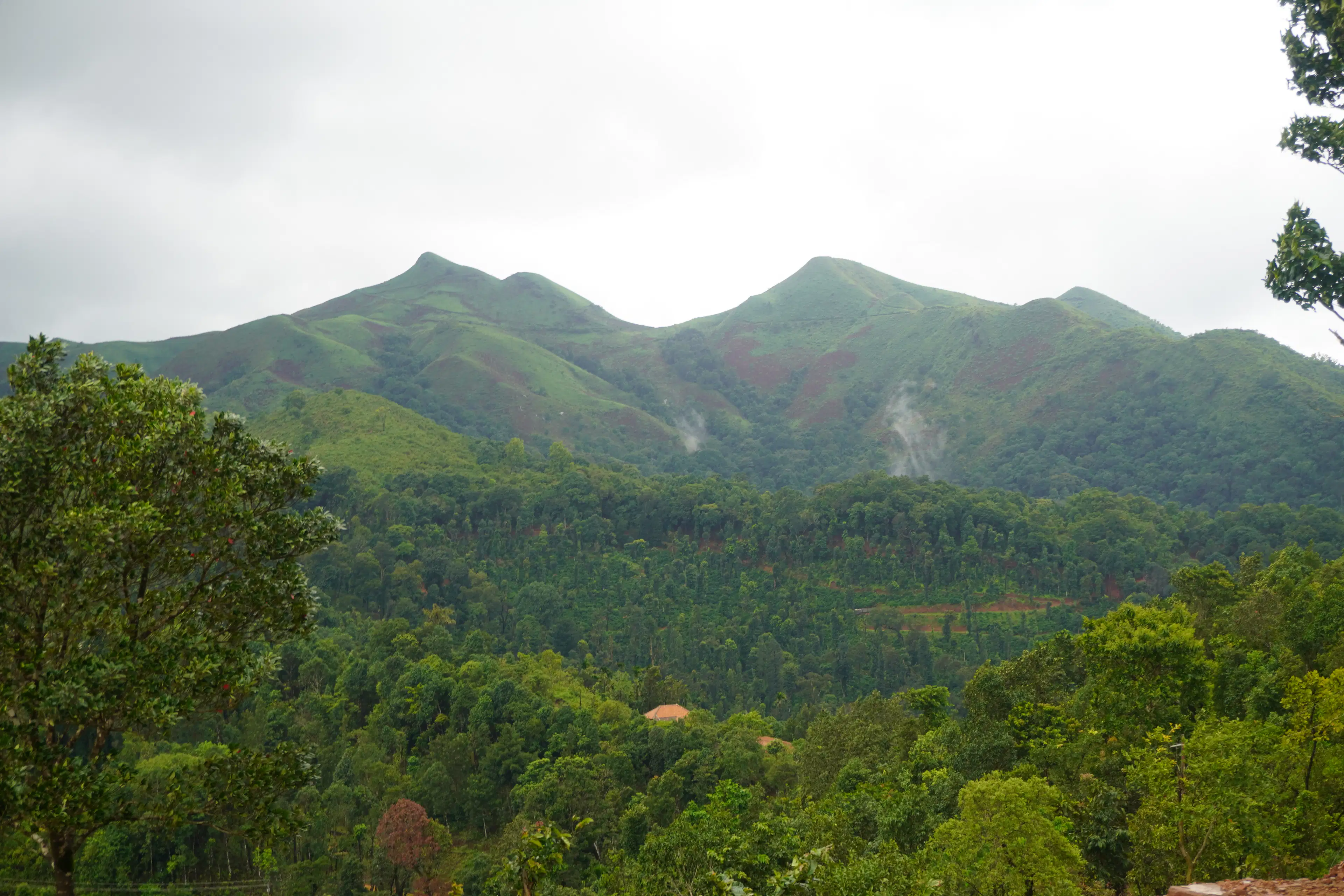 Twin peaks of the Western Ghats rising from dense forest