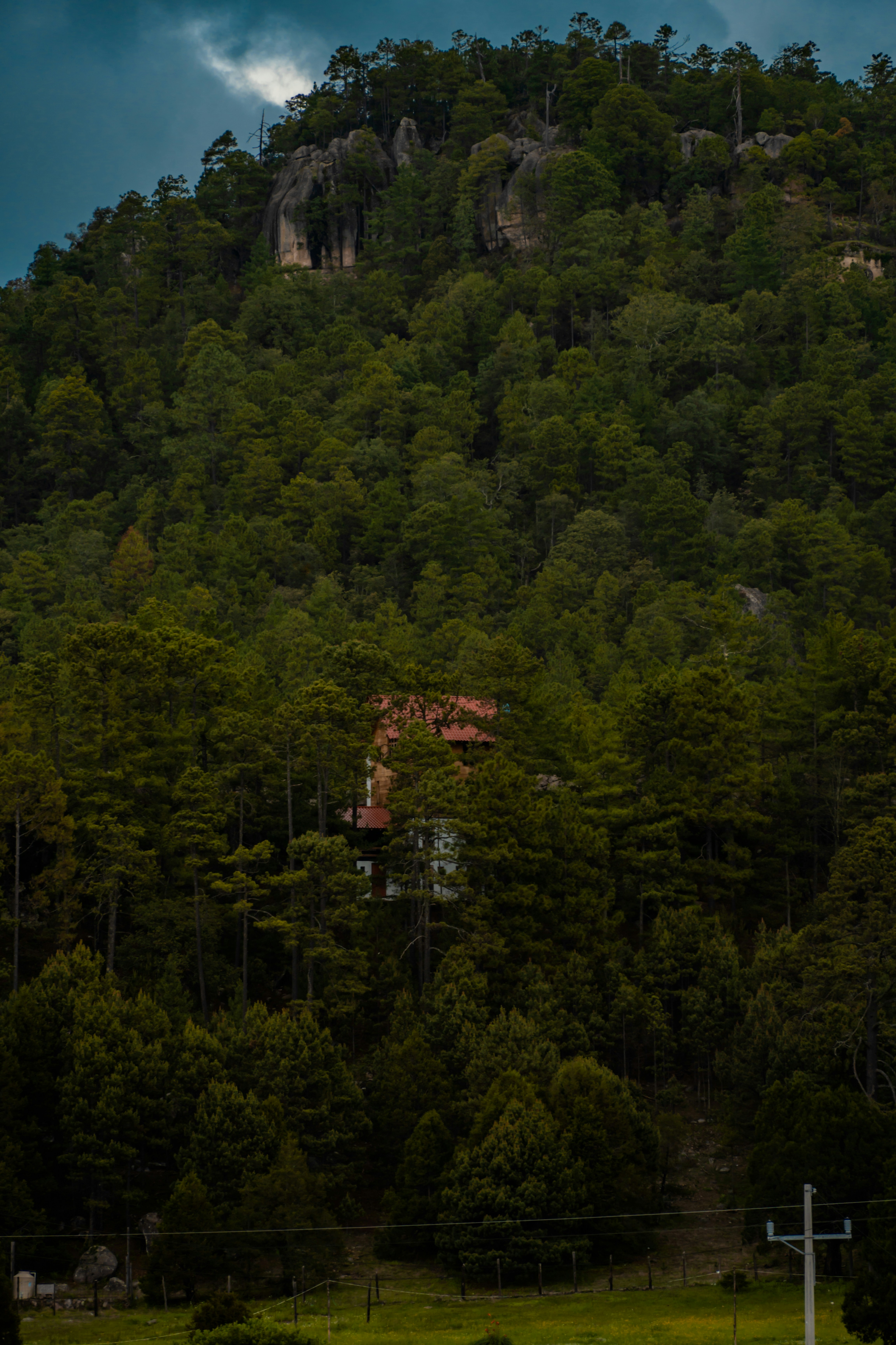 Photo by pedromexicano