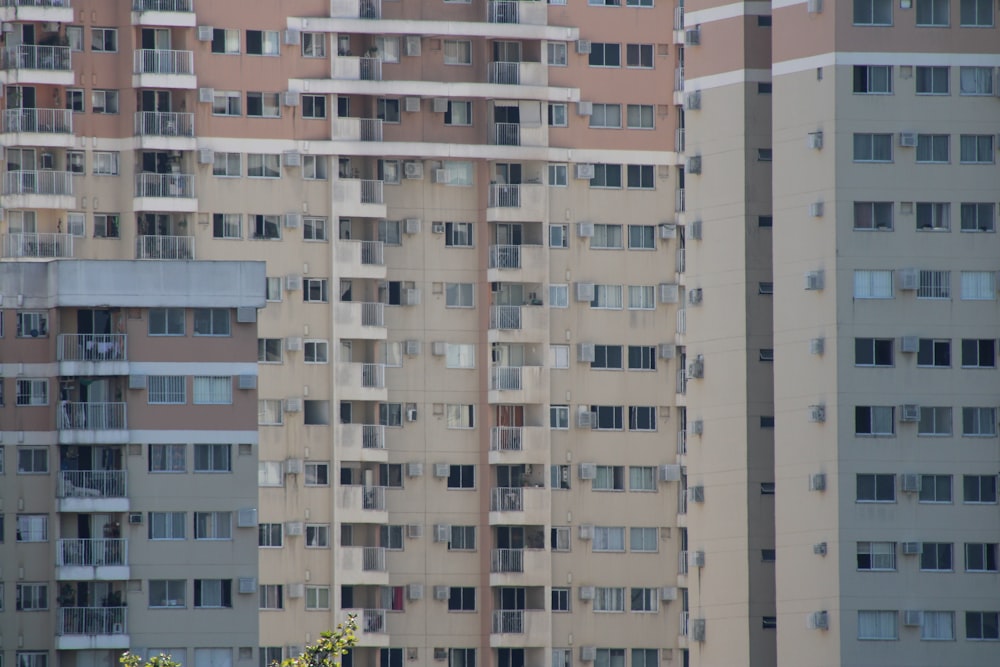 edificio in cemento bianco e marrone