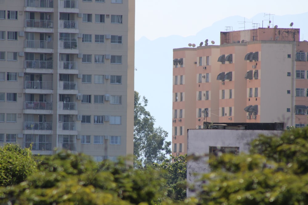 brown concrete building near green trees during daytime