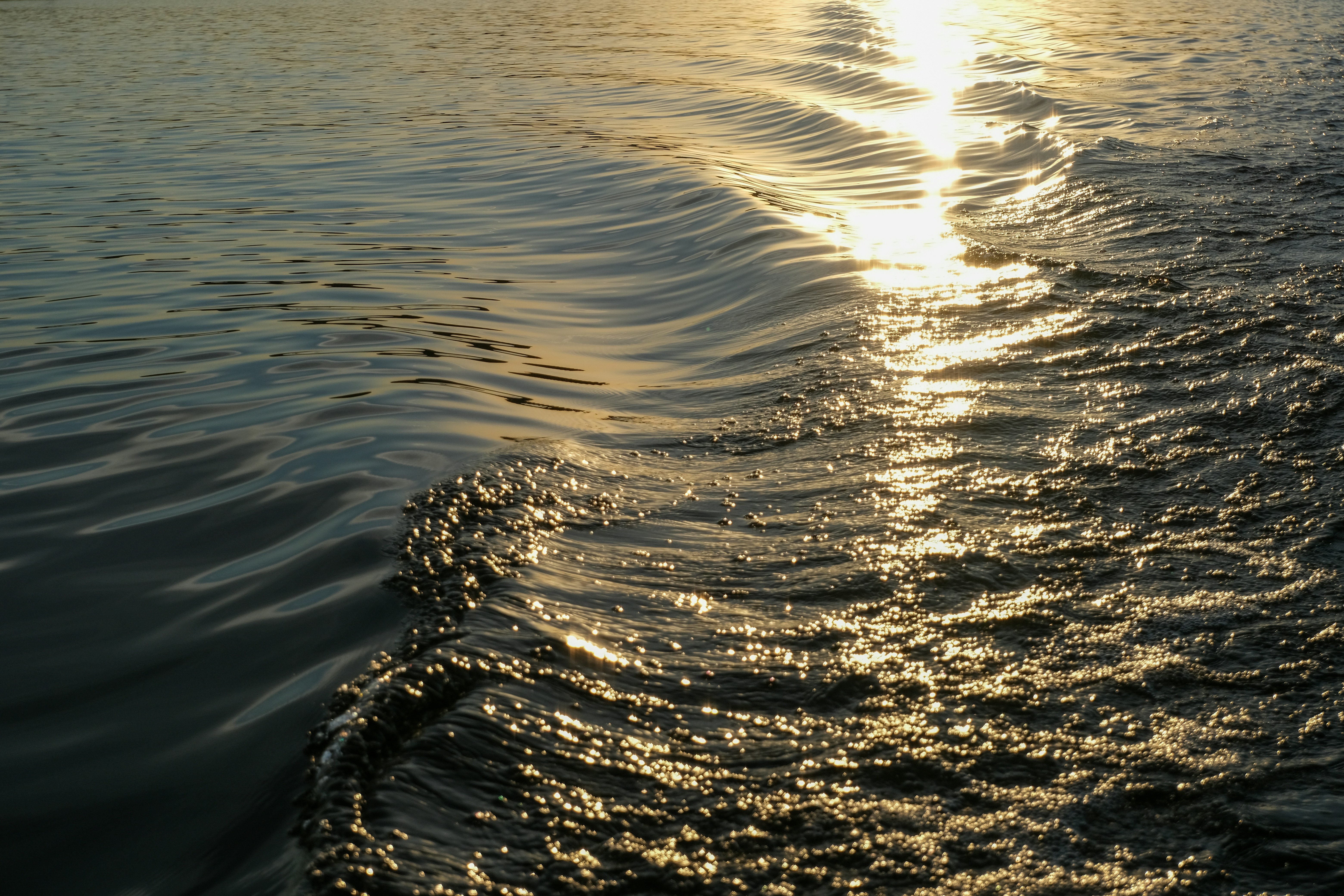 Photo by talirem